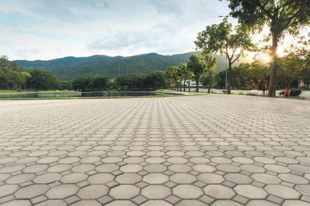 Best Driveway Repair Near Me  in Butte, MT